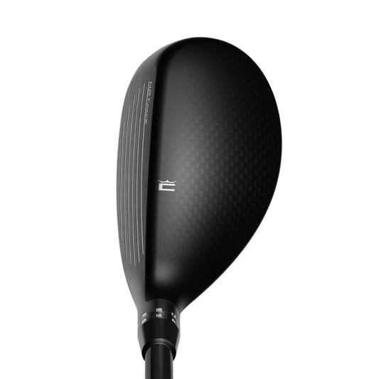 KING TEC Hybrid 2025