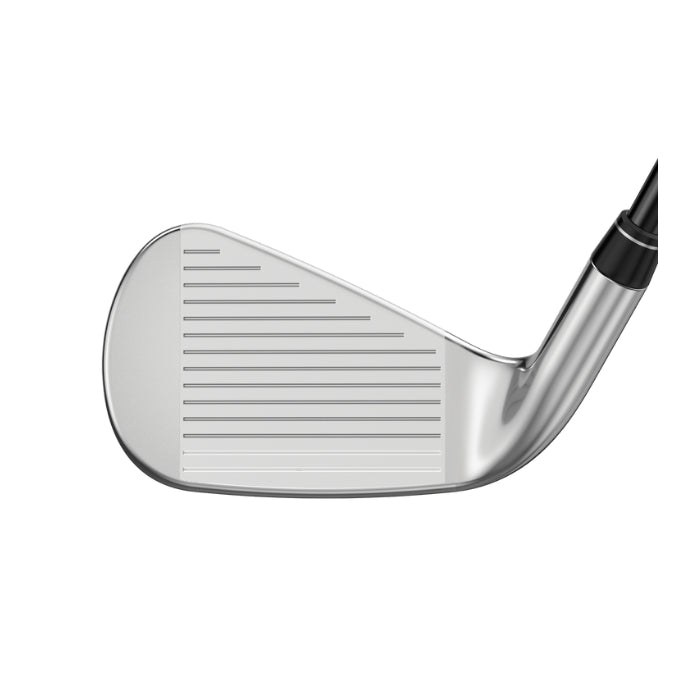 Great Big Bertha Single Irons