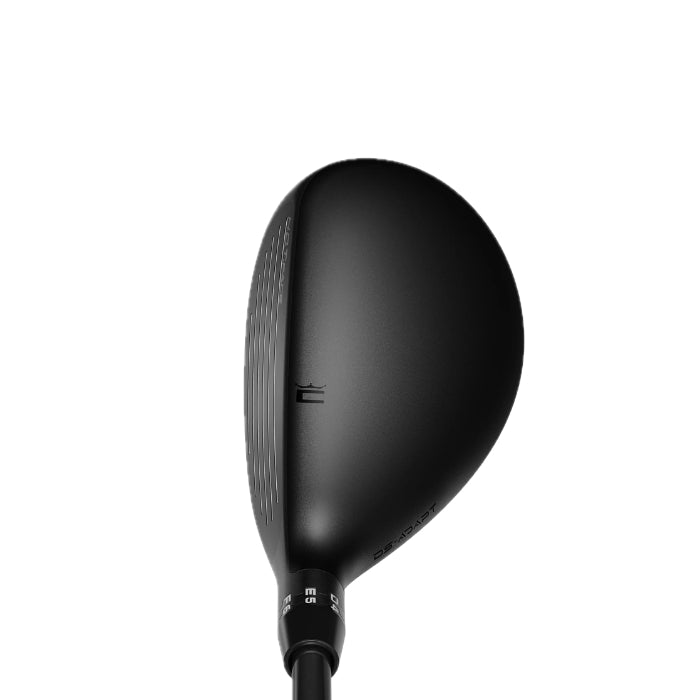 DS-ADAPT Hybrid