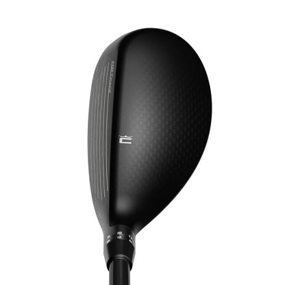 KING TEC Hybrid 2025