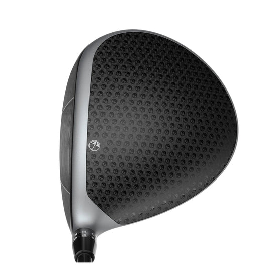 DS-ADAPT LS Arnold Palmer Driver