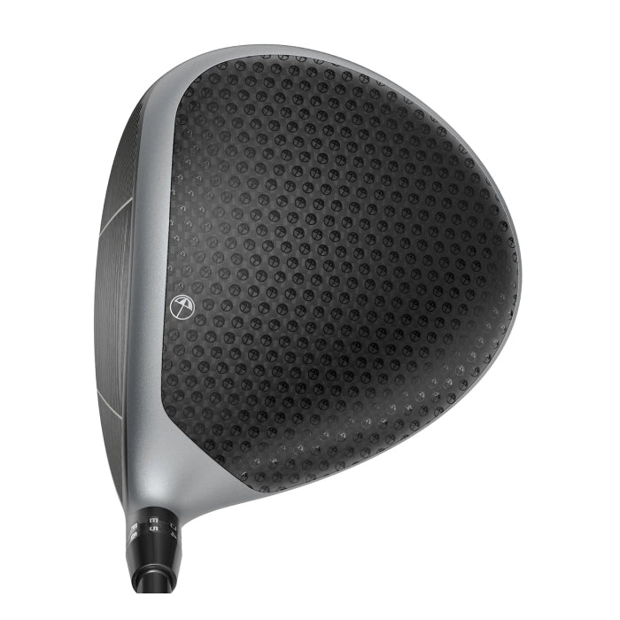DS-ADAPT X Arnold Palmer Driver