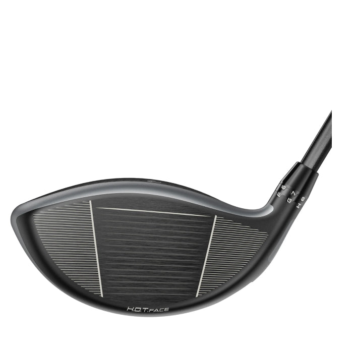 DS-ADAPT X Arnold Palmer Driver