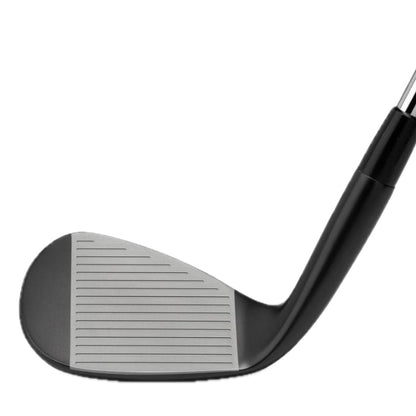 Mizuno Pro T-1 Black Ion Wedges