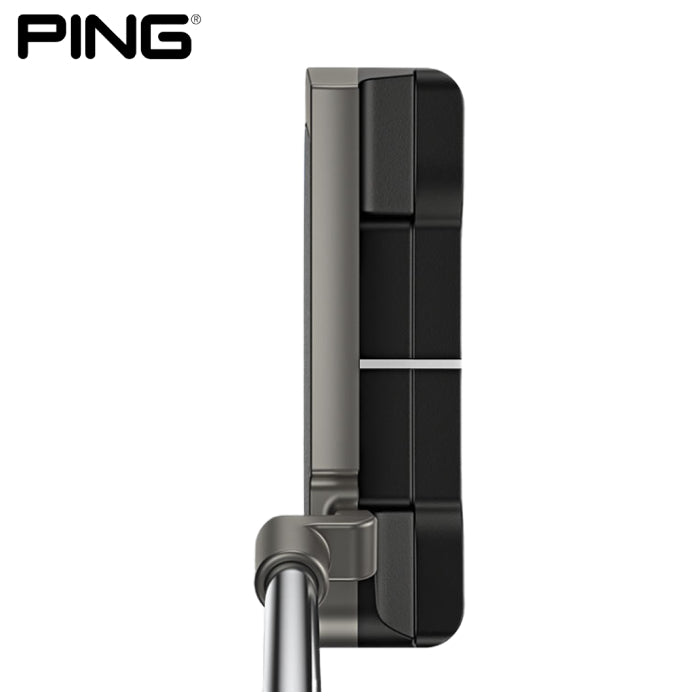 Scottsdale Anser Putter