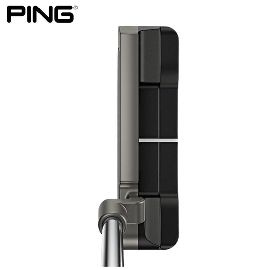 Scottsdale Anser Putter