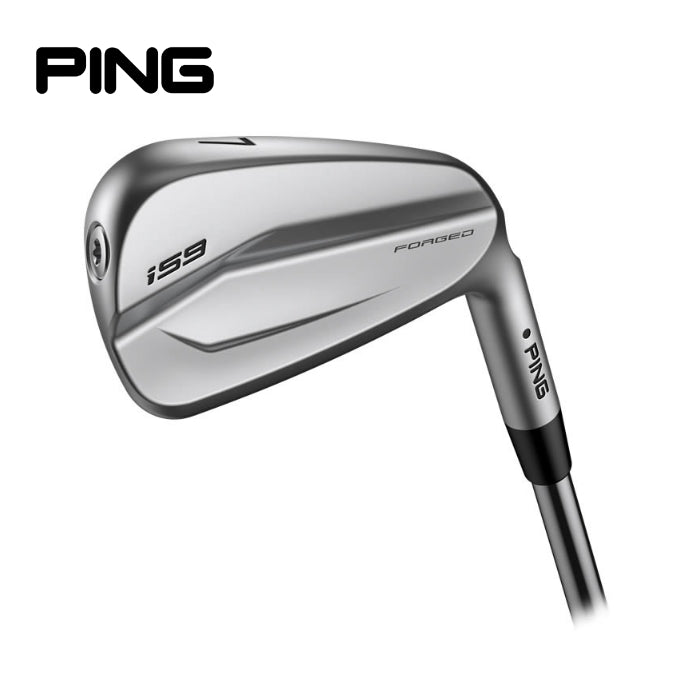 i59 Single Irons